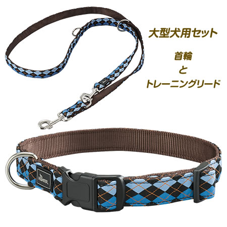 大型犬用 首輪とトレーニングリードセット(L) CRAZY SCOTTY ブルー