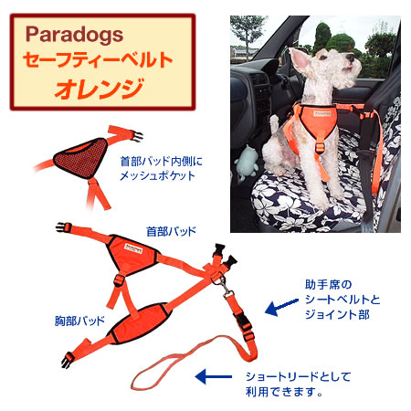 セーフティベルト犬用　オレンジ