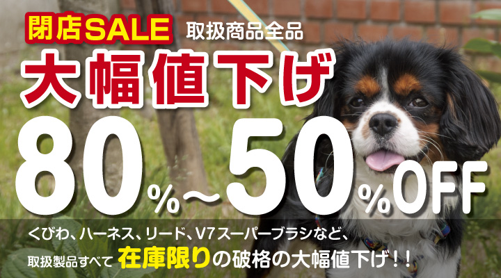 ピヨコスモ　ウェブペットショップ 閉店セール大幅値下げ