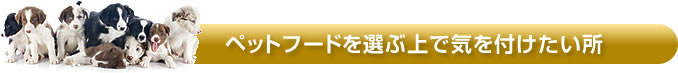 ペットフードを選ぶ上で気をつけたい所